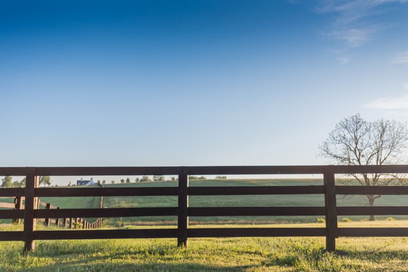 Horse Paddock Installation in Roseville, CA