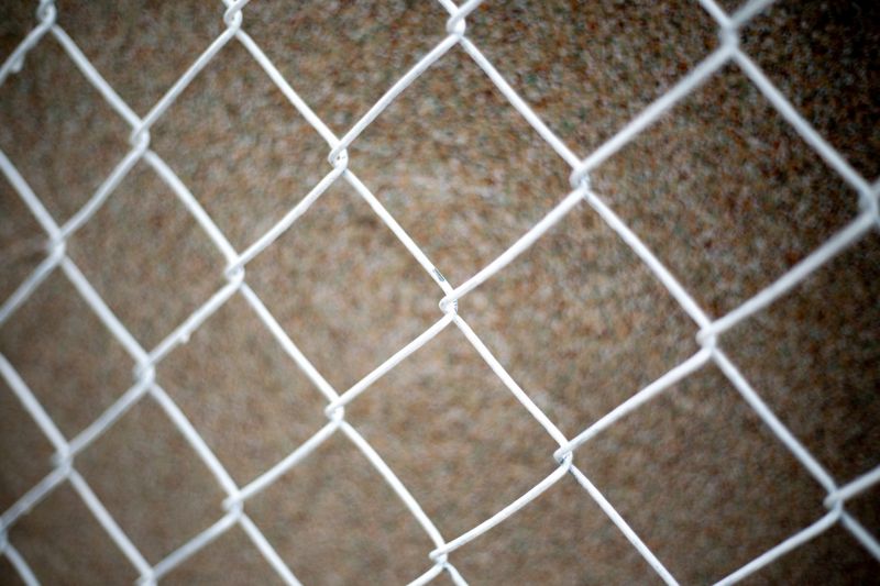 Wire Mesh Fence Installation in Roseville, CA